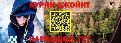 индика Лесосибирск