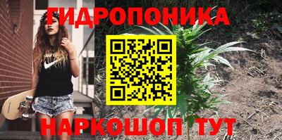 индика Лесосибирск
