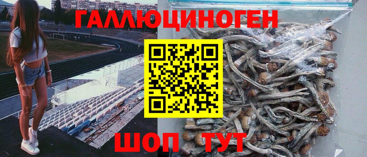 Ишимбай  Галлюциногенные грибы MAGIC MUSHROOMS  Вход с VPN 